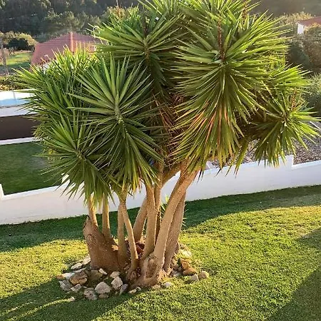 Villa Ericeira Вилла