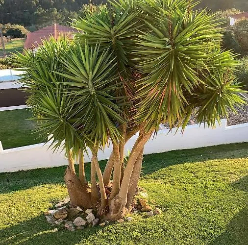 Villa Ericeira Willa